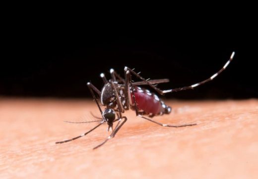Spas ovog ljeta: Sipajte ovo u čašu i budite sigurni da komarci više neće prilaziti vašem domu