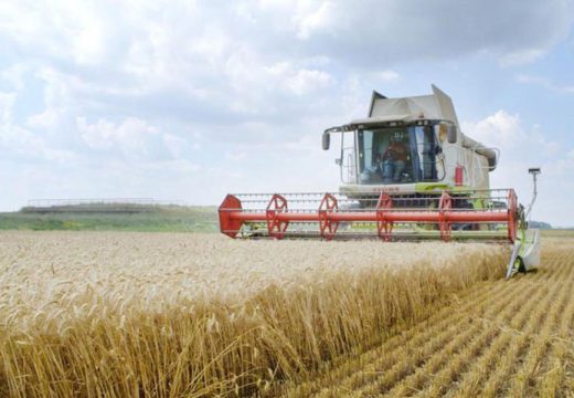 “Žitopromet” iz Bijeljine ponudio ratarima: Otkupna cijena pšenice od 0,35 KM
