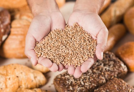 Poljoprivreda: Isplaćeni podsticaji za pšenicu