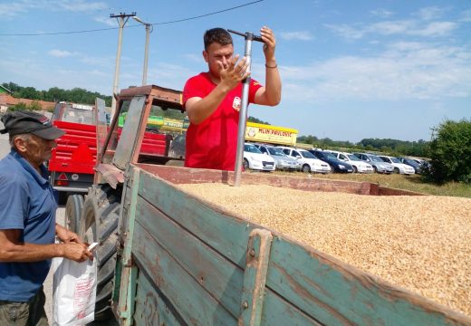 Bez dogovora o otkupnoj cijeni pšenice: Poljoprivrednici tvrde da je dogorjelo do nokata