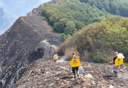 Čančar: Požar svima da bude za nauk