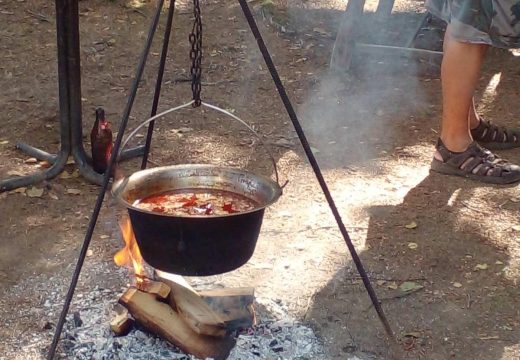 Turistička organizacija grada Bijeljina:Takmičenje za najukusniju riblju čorbu