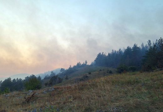 Načelnik opštine: Požar u drvarskom selu aktivan, ali pod kontrolom