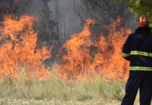Kladovo: Gori više od 150 hektara niskog rastinja, njiva i poljoprivrednih kultura
