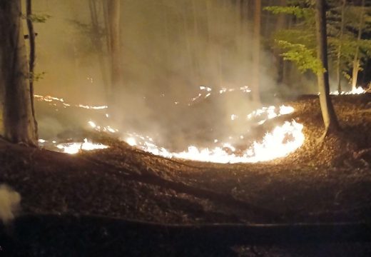 Između Lipovica i Busije: Šumski požar koji je juče buknuo na Majevici  se rasplamsao