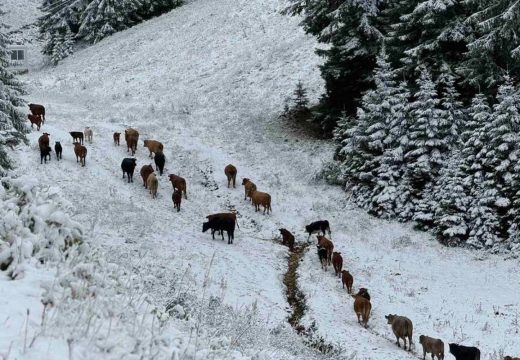 OC “Jahorina”: Prvi snijeg najavljuje uspješnu zimsku sezonu