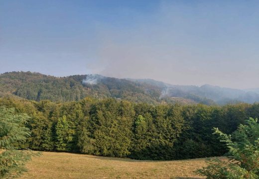 Vatrogasci: Požar na Majevici lokalizovan i pod kontrolom (Foto)