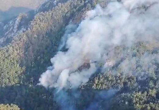 Kusturić potvrdio: Helikopter gasi požar na području Srebrenice (Video)