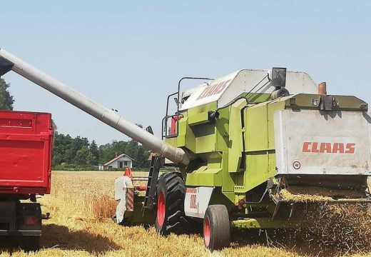 Poljoprivrednici zadovoljni: U Semberiji se privodi kraju žetva suncokreta