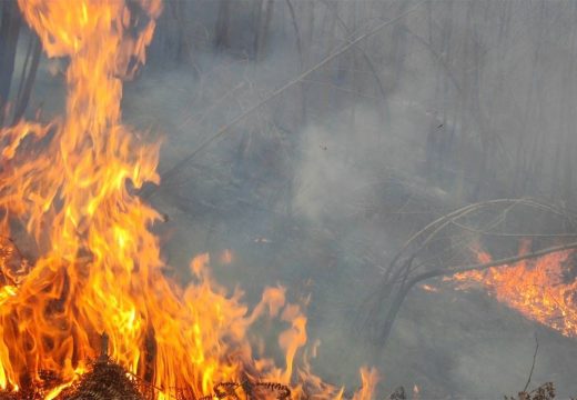 Stradao muškarac u Kragujevcu: Pokušao da ugasi požar, pa poginuo