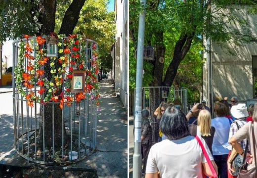 Mnogi još pamte čudo iz Bijeljine: Na drvetu se ukazao lik Isusa Hrista, rijeka ljudi čekala red da se pomoli i uslika pored stabla