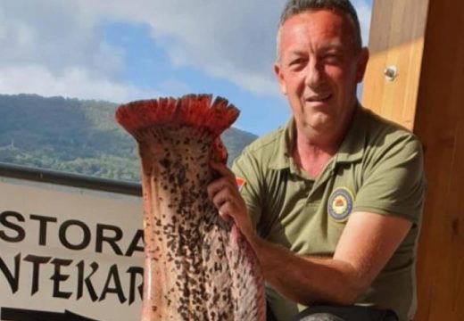 Dvometraš kod Zvornika namučio ribara: Miodrag upecao kapitalca (Foto)