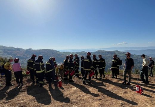 Gašenje požara kontra požarima: Gust dim i visok plamen šire se šumom na Tari