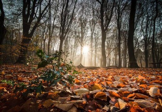 Uživajte u sunčanoj nedjelji: Sutra do 25 stepeni Celzijusovih