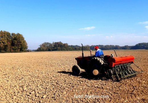 Semberija: Nezahvalne sve računice i kalkulacije o troškovima sjetve