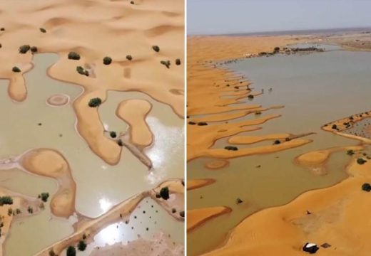 Poplavljena Sahara: Pogledajte zadivljujući prizor koji se rijetko viđa (Video)