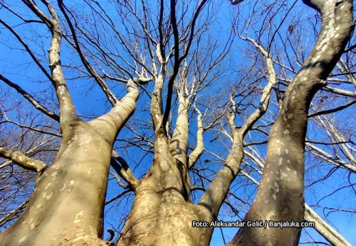 Danas pretežno sunčano i toplo: Dnevna temperatura ide do 25 stepeni