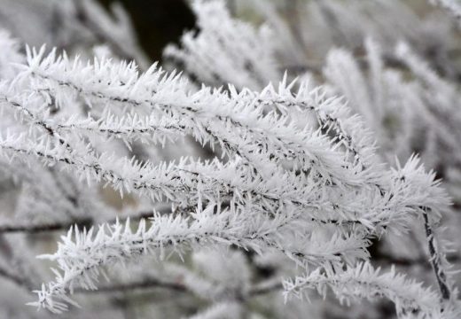 Stiže nam zima: Sedmicu počinjemo sa mrazom i hladnim jutrima