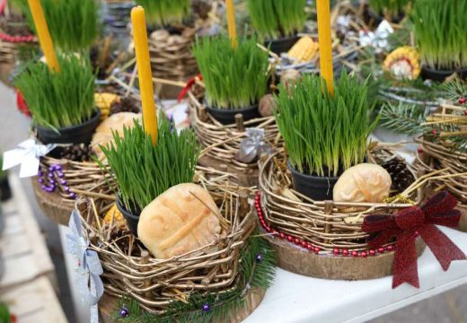 Za koji dan treba posaditi pšenicu za Božić: Ako želite da vam bude bujna i gusta, ovo trebate ispoštovati