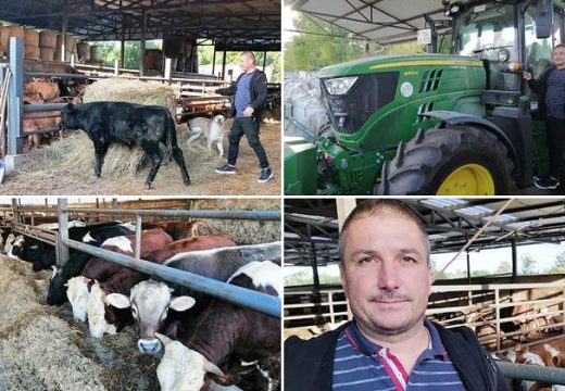 Farmer iz Gradiške: Danijel Miodragović rođendan i Novu godinu slavi na farmi (Foto)