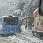 Snijeg pravi haos: Drvo palo na gradski autobus u Banjaluci (Video)