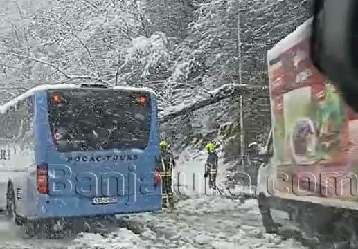 Snijeg pravi haos: Drvo palo na gradski autobus u Banjaluci (Video)