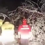 Snijeg pravi haos: Ekipa čelinačke Hitne pomoći naišla na drvo na putu (Video)