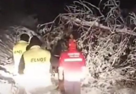 Snijeg pravi haos: Ekipa čelinačke Hitne pomoći naišla na drvo na putu (Video)