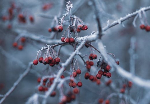 Temperatura i do -12: Meteorolozi upozorili na mrazovite noći i jutra