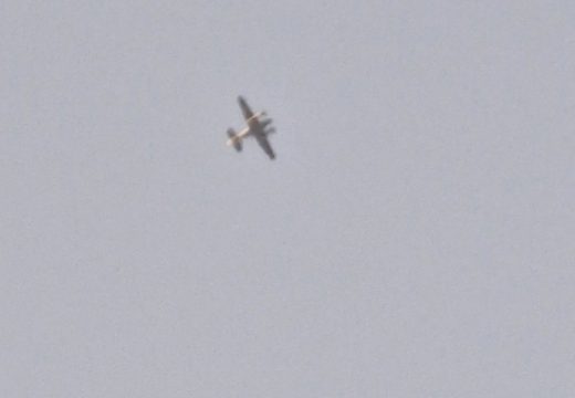 Blizu Siska: Pao mali avion u Hrvatskoj