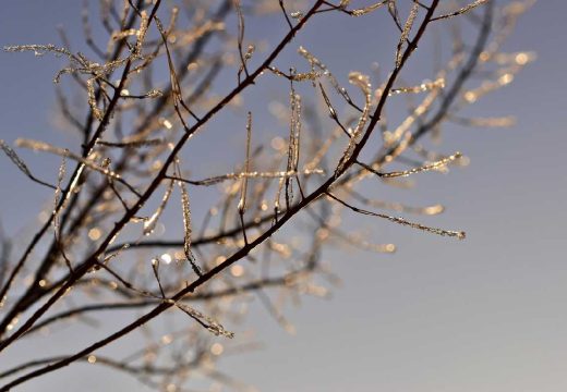 Najava i upozorenje: Niske noćne i jutarnje temperature od 06. do 08. aprila