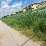 Pješačka staza zaklonjena travom, roditelji zabrinuti: Neuređene zelene površine u Hasama prijetnja bezbjednosti (Foto)