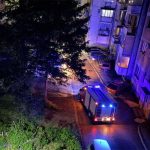 Drama u Konjicu: Poskok ušao u stan