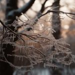 Oglasili se meteorolozi: Sutra ujutru temperatura u minisu, poznato koji dan donosi snijeg
