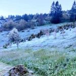 Da li je ovo stvarno: Ovako izgleda mjesto u BiH u kojem je jutros najhladnije (Foto/Video)