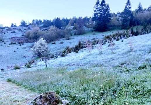 Da li je ovo stvarno: Ovako izgleda mjesto u BiH u kojem je jutros najhladnije (Foto/Video)
