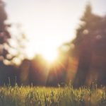 Temperature vazduha do 25 stepeni: Danas toplije i pretežno sunčano