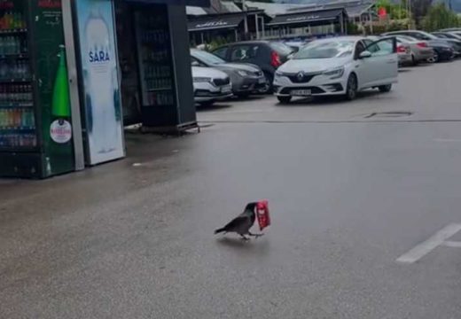 Milioni gledaju snimak iz Sarajeva: “Aj ti objasni šefu da je vrana ukrala” (Video)
