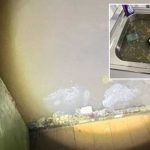 BiH: Ministar zdravlja Kantona Sarajevo proglasio epidemiju leptospiroze