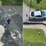 Drama u Banjaluci: Žena napadala radnike Centra za socijalni rad i ometala saobraćaj
