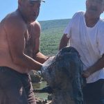 Ribolov: Kapitalac duži od dva metra ulovljen u Bilećkom jezeru; “Borba je bila velika” (Foto)
