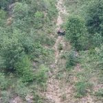 Hronika: Majka i dijete stradali na istom mjestu kao i četiri učiteljice