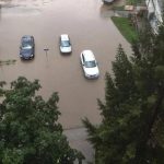 Nevrijeme protutnjalo Srbijom: Na ulicama potop, iščupana stabla, oluja iza sebe ostavila haos (Foto)