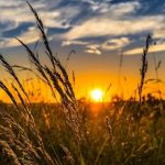 I sutra veoma toplo: Temperatura do 34 stepena