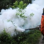 SEMBERIJA: Danas zaprašivanje komaraca na području grada Bijeljina