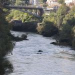 Tragedija u BiH: Iz Neretve izvučeno tijelo muškarca