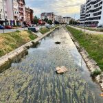 Bijeljina: Dašnici opao nivo vode, građani ogorčeni zbog smeća