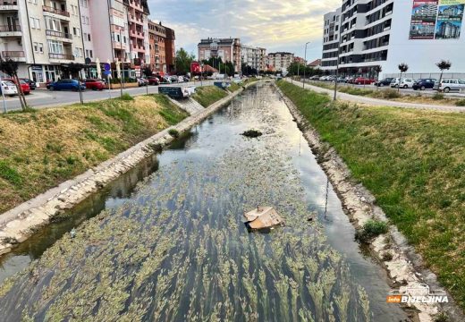 Bijeljina: Dašnici opao nivo vode, građani ogorčeni zbog smeća