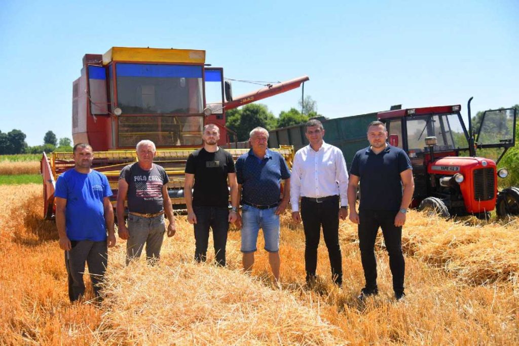 Bijeljina: Žetva pšenice u Semberiji pri kraju, dobar rod i kvalitet zrna