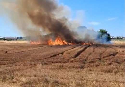Gorjelo i u Ljeskovcu: Bijeljinski vatrogasci i dalje na muci zbog nesavjesnih građana